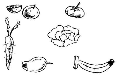 Quelques exemples de fruits et légumes : tomate, aubergine, laitue, banane, mangue et carotte