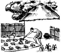 Un villageois s’occupe de son jardin. Il y a une petite parcelle de terre cultivée à côté d’une hutte et entourée d’une clôture, où poussent de jolies rangées de légumes