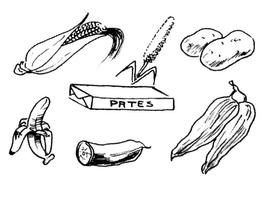 Quelques exemples de féculents : maïs, mil, un paquet de pâtes, pommes de terre, patates douces, ignames, manioc, bananes plantains.
