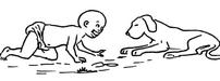 Le chien et un bébé jouent par terre