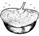 Une natte de paille tissée recouvre un bol de nourriture pour empêcher les mouches de s’y introduire