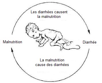 Une illustration montrant une flèche pointant de la malnutrition à la déshydratation, et une autre flèche pointant de la déshydratation à la malnutrition